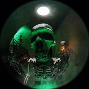 Meet your Posher, Rico